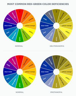 Grafik: Farbkreise simulieren wie Menschen mit der Rot/Grün-Sehschwäche die Farben wahrnehmen.