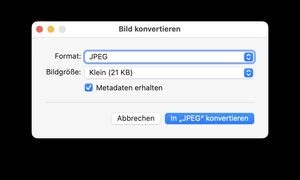 Dialog «Bild konvertieren» mit der Auswahl des Formats und der Bildgrösse. Screenshot.