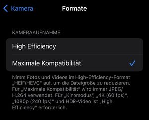 iOS-Einstellungen Formate. Screenshot.